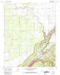Carson New Mexico Historical topographic map, 1:24000 scale, 7.5 X 7.5 Minute, Year 1961
