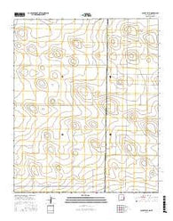 Causey East New Mexico Current topographic map, 1:24000 scale, 7.5 X 7.5 Minute, Year 2017