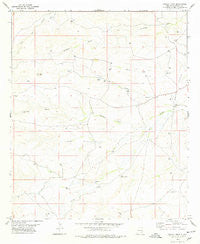 Cawley Draw New Mexico Historical topographic map, 1:24000 scale, 7.5 X 7.5 Minute, Year 1978