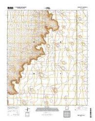 Cedar Point SE New Mexico Historical topographic map, 1:24000 scale, 7.5 X 7.5 Minute, Year 2013