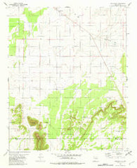 Cedarvale New Mexico Historical topographic map, 1:24000 scale, 7.5 X 7.5 Minute, Year 1981