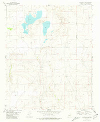 Cedarvale NE New Mexico Historical topographic map, 1:24000 scale, 7.5 X 7.5 Minute, Year 1981
