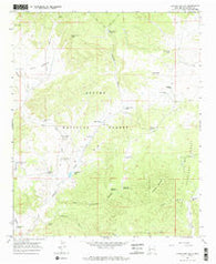 Centerfire Bog New Mexico Historical topographic map, 1:24000 scale, 7.5 X 7.5 Minute, Year 1965