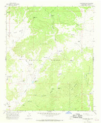 Centerfire Bog New Mexico Historical topographic map, 1:24000 scale, 7.5 X 7.5 Minute, Year 1965
