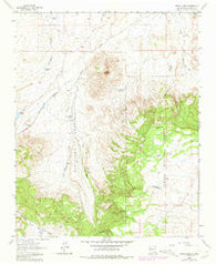 Cerro Alesna New Mexico Historical topographic map, 1:24000 scale, 7.5 X 7.5 Minute, Year 1963