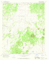 Cerro Alto New Mexico Historical topographic map, 1:24000 scale, 7.5 X 7.5 Minute, Year 1967