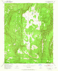 Cerro Del Grant New Mexico Historical topographic map, 1:24000 scale, 7.5 X 7.5 Minute, Year 1953