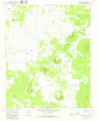 Cerro Hueco New Mexico Historical topographic map, 1:24000 scale, 7.5 X 7.5 Minute, Year 1967
