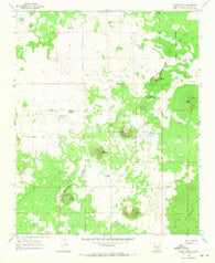 Cerro Hueco New Mexico Historical topographic map, 1:24000 scale, 7.5 X 7.5 Minute, Year 1967