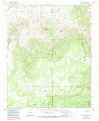 Cerro Parido New Mexico Historical topographic map, 1:24000 scale, 7.5 X 7.5 Minute, Year 1961
