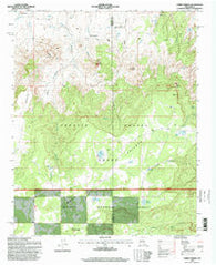 Cerro Parido New Mexico Historical topographic map, 1:24000 scale, 7.5 X 7.5 Minute, Year 1995