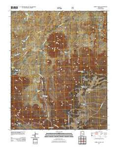 Cerro Alesna New Mexico Historical topographic map, 1:24000 scale, 7.5 X 7.5 Minute, Year 2011