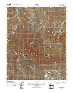 Cerro Conejo New Mexico Historical topographic map, 1:24000 scale, 7.5 X 7.5 Minute, Year 2010