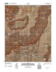 Cerro Del Oro New Mexico Historical topographic map, 1:24000 scale, 7.5 X 7.5 Minute, Year 2010