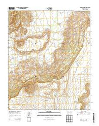 Cerro Del Oro New Mexico Historical topographic map, 1:24000 scale, 7.5 X 7.5 Minute, Year 2013