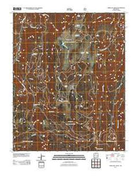 Cerro del Grant New Mexico Historical topographic map, 1:24000 scale, 7.5 X 7.5 Minute, Year 2011