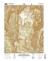 Cerro del Grant New Mexico Current topographic map, 1:24000 scale, 7.5 X 7.5 Minute, Year 2017