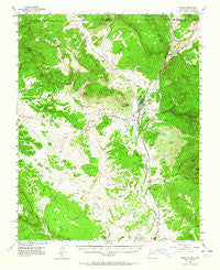 Chama New Mexico Historical topographic map, 1:62500 scale, 15 X 15 Minute, Year 1955