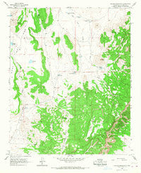 Chicken Mountain New Mexico Historical topographic map, 1:24000 scale, 7.5 X 7.5 Minute, Year 1964