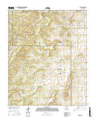 Chilili New Mexico Current topographic map, 1:24000 scale, 7.5 X 7.5 Minute, Year 2017