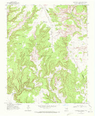 Chinaberry Canyon New Mexico Historical topographic map, 1:24000 scale, 7.5 X 7.5 Minute, Year 1969