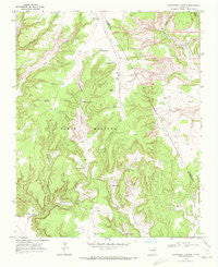 Chinaberry Canyon New Mexico Historical topographic map, 1:24000 scale, 7.5 X 7.5 Minute, Year 1969
