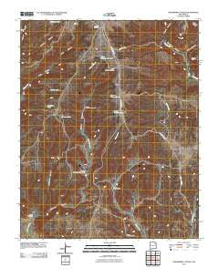 Chinaberry Canyon New Mexico Historical topographic map, 1:24000 scale, 7.5 X 7.5 Minute, Year 2010