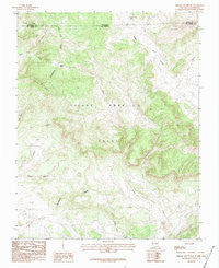 Chromo Mountain New Mexico Historical topographic map, 1:24000 scale, 7.5 X 7.5 Minute, Year 1983
