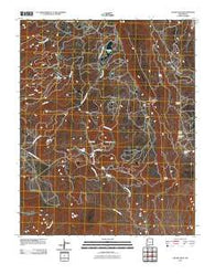 Chuska Peak New Mexico Historical topographic map, 1:24000 scale, 7.5 X 7.5 Minute, Year 2010