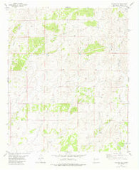 Claunch SE New Mexico Historical topographic map, 1:24000 scale, 7.5 X 7.5 Minute, Year 1981