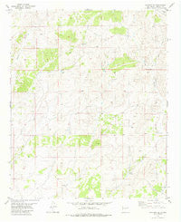 Claunch SE New Mexico Historical topographic map, 1:24000 scale, 7.5 X 7.5 Minute, Year 1981