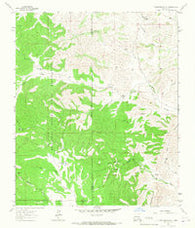Clements Ranch New Mexico Historical topographic map, 1:24000 scale, 7.5 X 7.5 Minute, Year 1963