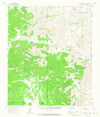 Clements Ranch New Mexico Historical topographic map, 1:24000 scale, 7.5 X 7.5 Minute, Year 1963