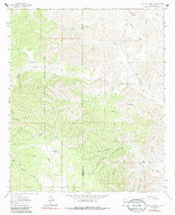 Clements Ranch New Mexico Historical topographic map, 1:24000 scale, 7.5 X 7.5 Minute, Year 1963