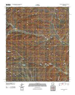 Clements Ranch New Mexico Historical topographic map, 1:24000 scale, 7.5 X 7.5 Minute, Year 2010