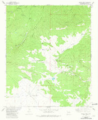 Collins Park New Mexico Historical topographic map, 1:24000 scale, 7.5 X 7.5 Minute, Year 1981