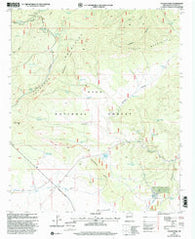 Collins Parks New Mexico Historical topographic map, 1:24000 scale, 7.5 X 7.5 Minute, Year 1999