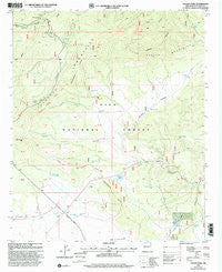 Collins Parks New Mexico Historical topographic map, 1:24000 scale, 7.5 X 7.5 Minute, Year 1999