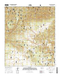 Collins Park New Mexico Current topographic map, 1:24000 scale, 7.5 X 7.5 Minute, Year 2017