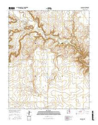 Colonias New Mexico Current topographic map, 1:24000 scale, 7.5 X 7.5 Minute, Year 2017