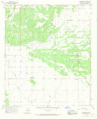 Columbus NE New Mexico Historical topographic map, 1:24000 scale, 7.5 X 7.5 Minute, Year 1966
