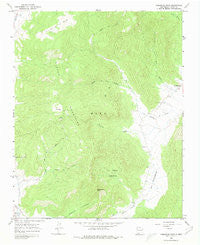 Comanche Peak New Mexico Historical topographic map, 1:24000 scale, 7.5 X 7.5 Minute, Year 1965