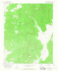 Comanche Peak New Mexico Historical topographic map, 1:24000 scale, 7.5 X 7.5 Minute, Year 1965