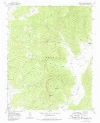 Comanche Peak New Mexico Historical topographic map, 1:24000 scale, 7.5 X 7.5 Minute, Year 1965