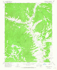 Comanche Point New Mexico Historical topographic map, 1:24000 scale, 7.5 X 7.5 Minute, Year 1963