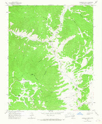 Comanche Point New Mexico Historical topographic map, 1:24000 scale, 7.5 X 7.5 Minute, Year 1963