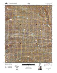 Comanche Ranch New Mexico Historical topographic map, 1:24000 scale, 7.5 X 7.5 Minute, Year 2010