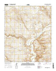 Conejo Creek East New Mexico Current topographic map, 1:24000 scale, 7.5 X 7.5 Minute, Year 2017