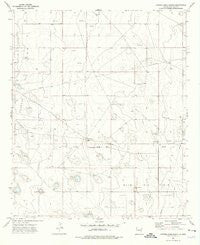 Cooper-Good Ranch New Mexico Historical topographic map, 1:24000 scale, 7.5 X 7.5 Minute, Year 1973