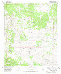 Cooper Canyon New Mexico Historical topographic map, 1:24000 scale, 7.5 X 7.5 Minute, Year 1981